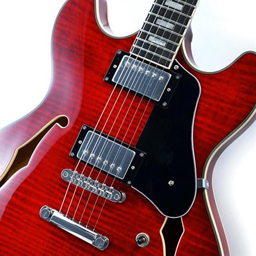 Sire H7 (STR) 画像3