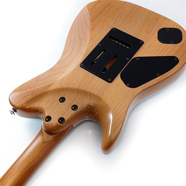 Ibanez TQMS1-CTB [Tom Quayle Signature Model] 画像6