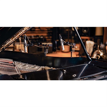 Universal Audio SP-1(ペア)(Hemisphere マイク・モデリング対応ペンシル型コンデンサーマイク)(国内正規品)(ユニバーサルオーディオ) 画像5