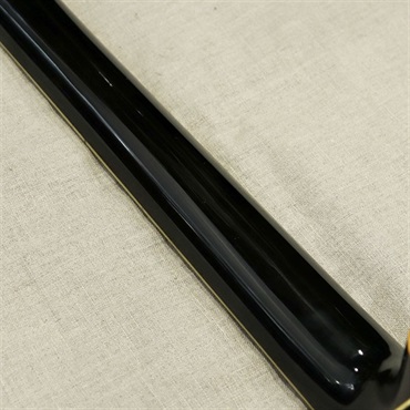 Epiphone VINTAGE Zephyr mid40's Modify Refinish Black 画像7