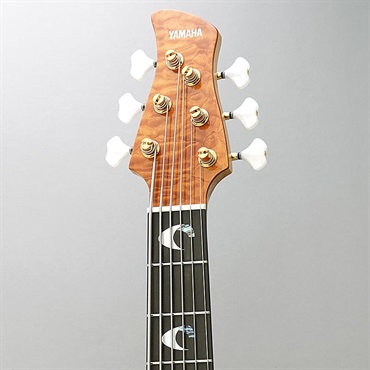 YAMAHA TRB-JP2 (AMB) 画像4