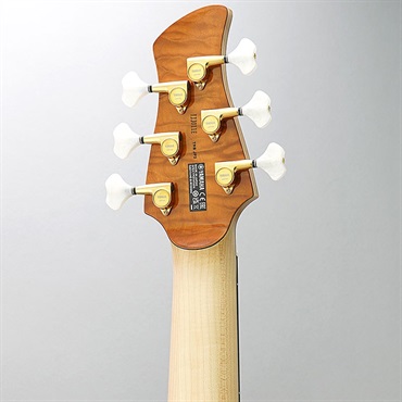 YAMAHA TRB-JP2 (AMB) 画像5