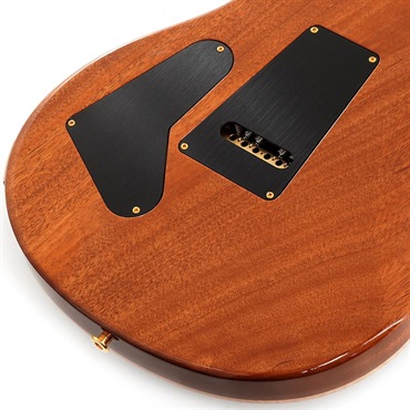 P.R.S. 【Paul Reed Smith氏サインイン入りバックプレート付属！】 Ikebe Original Wood Library Custom24 McCarty Thickness Tiger Eye #0340405 【2022年生産モデル】 画像7