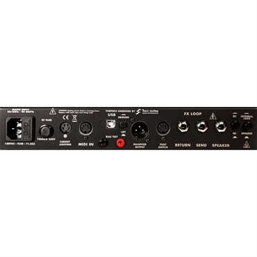 REVV G20 [Lunchbox Amplifiers]（レヴ） 画像4