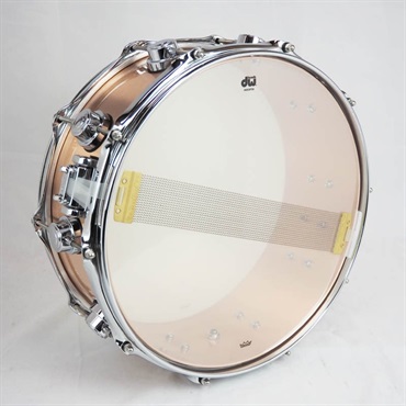 dw DW-BZB 1455SD/BRONZE/C [Collector's Metal Snare / 3mm Brushed Bronze 14 × 5.5] 画像4
