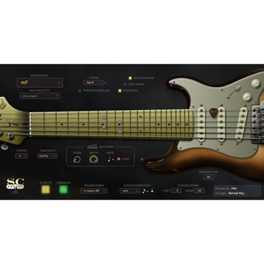 Prominy SC Electric Guitar 2(代引不可)(オンライン納品) 画像1