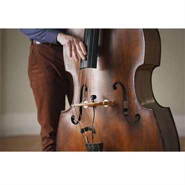 NEUMANN MCM 114 SET BASS(contrabass/double bass用クリップ)(ノイマン)(国内正規品メーカー3年保証)(コンデンサーマイク) 画像1