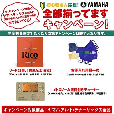 YAMAHA 【本田雅人氏選定品】アルトサックス ヤマハ YAS-875EX 【調整&セットアップ後出荷】【5年間キーバランス調整無料】【演奏＆お手入れに必要なもの全て付いてます】 画像1