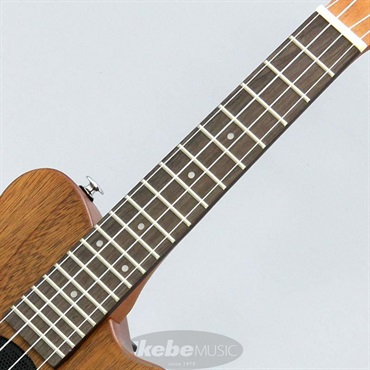 PIGNOSE PGU-200MH ピグノーズ 画像6