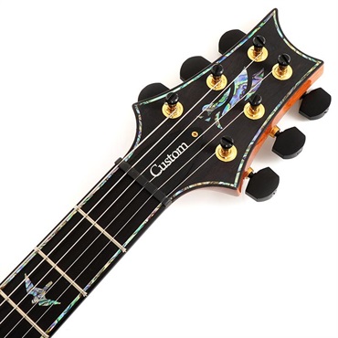 P.R.S. 【Paul Reed Smith氏サインイン入りバックプレート付属！】 Ikebe Original Wood Library Custom24 McCarty Thickness Espresso #0340748 【2022年生産モデル】 画像6