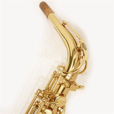その他ブランド(管楽器・吹奏楽器) USED 中古 iO イオ アルトサックス AS-1065GL S/N:RF07xx6 【調整&セットアップ後出荷】【5年間キーバランス調整無料】 画像1