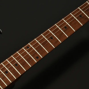 Bacchus Global Series BSH-850/RSM (Gun-M) 画像1