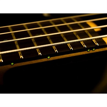 Killer 【受注生産品、ご予約受付中】 KB-Criminal bass Signature PH custom 24 (Phoenix vision) 画像2