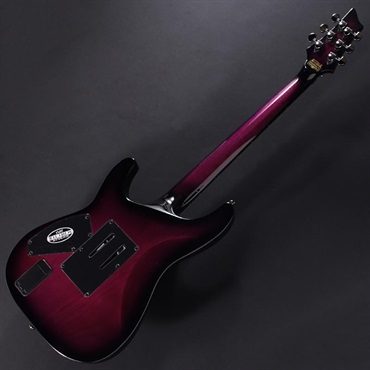 SCHECTER C-1 FR Hellraiser [AD-C-1-FR-HR] (TPB) 画像5