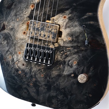 MAYONES 40th Anniversary Buckeye Burl Series Duvell Elite 6 (Trans Natural Fade Black Burst Out/Gloss) [Mayones 40th Anniversary Model] 画像4