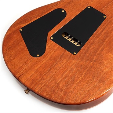 P.R.S. 【Paul Reed Smith氏サインイン入りバックプレート付属！】 Ikebe Original Wood Library Custom24 McCarty Thickness Espresso #0340105 【2022年生産モデル】 画像7