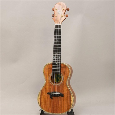 BIG ISLAND KX-CTG ビッグアイランド 画像2