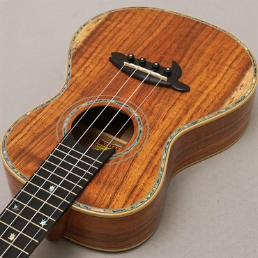 BIG ISLAND KX-CTG ビッグアイランド 画像4