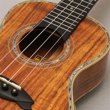 BIG ISLAND KX-CTG ビッグアイランド 画像6