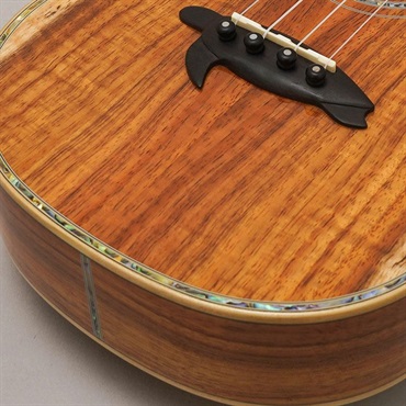 BIG ISLAND KX-CTG ビッグアイランド 画像7