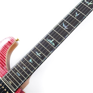 P.R.S. Ikebe Original Wood Library Custom24 McCarty Thickness Cerise #0340796  2022年生産品 画像10