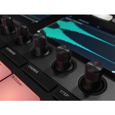 Native Instruments MASCHINE+ 【大幅値下げ！】(マシーン)(ネイティブ・インストゥルメンツ) 画像6