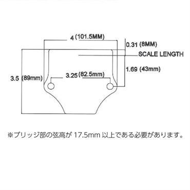 Stetsbar PROIII STOPTAIL GOLD ストップテイル用トレモロブリッジ 画像2