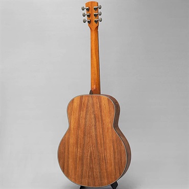 Jack Spira Guitars JS-4 Chuei Model [吉川 忠英モデル] ジャックスピラギター 画像3