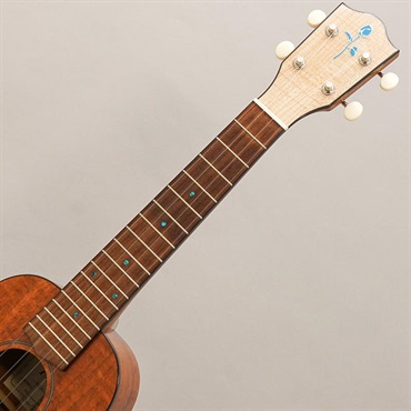FUJIGEN FUS-TC-02 フジゲン 画像8