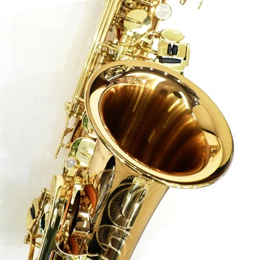 YANAGISAWA USED 中古 ヤナギサワ アルトサックス A-902 S/N326xx8 【調整&セットアップ後出荷】【5年間キーバランス調整無料】 画像6
