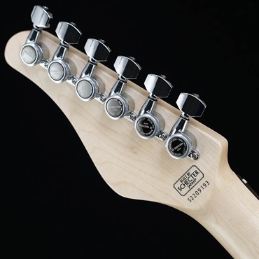 SCHECTER AR-06 (Vintage White/Rosewood) 画像5