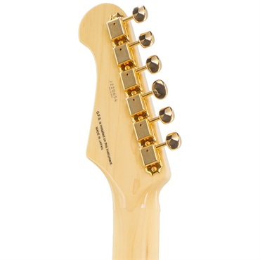 FUJIGEN IKEBE ORDER INTE-10MFM (2-Tone Sunburst) 【SN.B220654】 画像4
