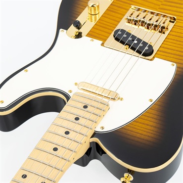 FUJIGEN IKEBE ORDER INTE-10MFM (2-Tone Sunburst) 【SN.B220654】 画像8