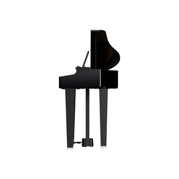 Roland GP-3-PES(10年保証)(黒塗鏡面塗装仕上げ)(豪華特典付)(古い電子ピアノ無料引取)(全国配送設置無料/沖縄・離島除く)(電子ピアノ) 画像3