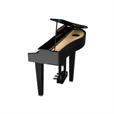 Roland GP-3-PES(10年保証)(黒塗鏡面塗装仕上げ)(豪華特典付)(古い電子ピアノ無料引取)(全国配送設置無料/沖縄・離島除く)(電子ピアノ) 画像6
