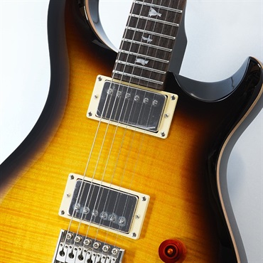 P.R.S. SE DGT (McCarty Tobacco Sunburst / Bird Inlays) 画像3