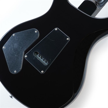P.R.S. SE DGT (McCarty Tobacco Sunburst / Bird Inlays) 画像7