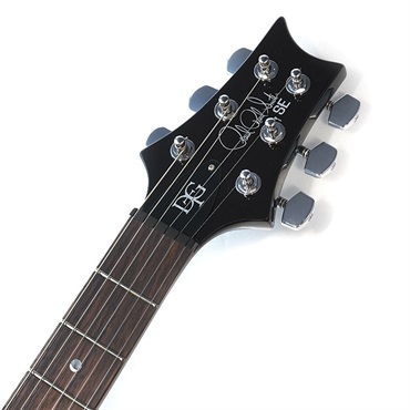 P.R.S. SE DGT (Gold Top / Moon Inlays) 画像8