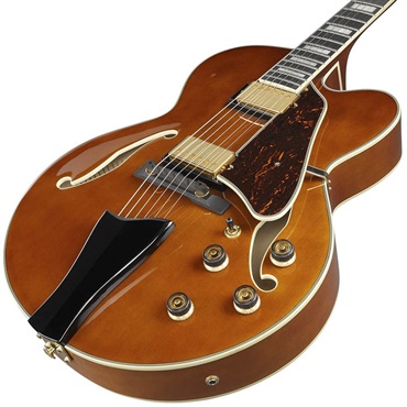 Ibanez Artcore Expressionist AF95-DA (Dark Amber) [SPOT MODEL] 画像2