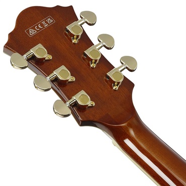 Ibanez Artcore Expressionist AF95-DA (Dark Amber) [SPOT MODEL] 画像5