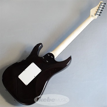 SCHECTER SD-2-24-AL (Aqua Blue/Rosewood) 画像5