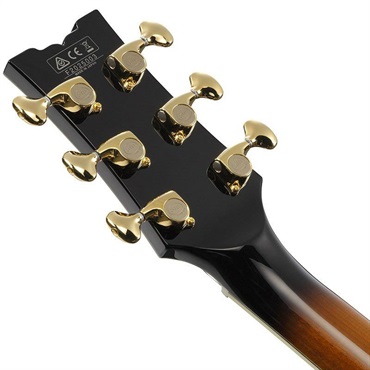 Ibanez ARTSTAR AM2000H-BS 画像5