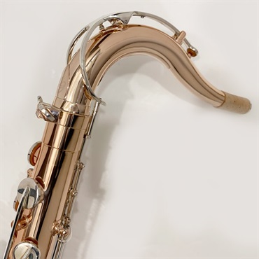 その他ブランド(管楽器・吹奏楽器) USED 中古 iO イオ テナーサックス TS-1085GLS S/N:H05xx4 【調整&セットアップ後出荷】【5年間キーバランス調整無料】 画像2