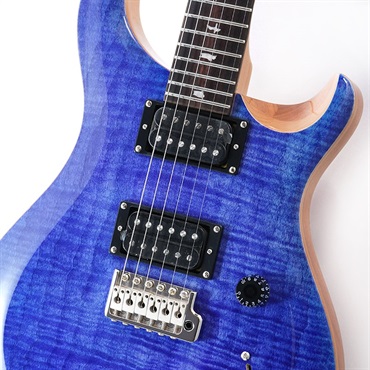 P.R.S. SE Custom 24 (Faded Blue ) 画像3