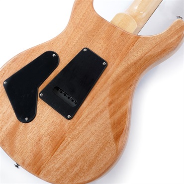 P.R.S. SE Custom 24 (Faded Blue ) 画像7