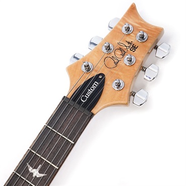 P.R.S. SE Custom 24 (Faded Blue ) 画像8