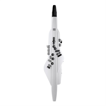 Roland Aerophone AE-20W(ホワイト) 画像1