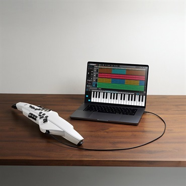 Roland Aerophone AE-20W(ホワイト) 画像5