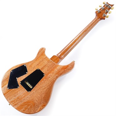 P.R.S. Modern Eagle V 10Top (Yellow Tiger) #0356206 画像2