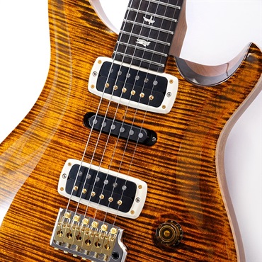 P.R.S. Modern Eagle V 10Top (Yellow Tiger) #0356206 画像3